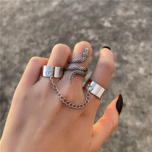 Arihant Jewellery For Women Silver Plated Snake inspired Contemporary Chain Rings Set